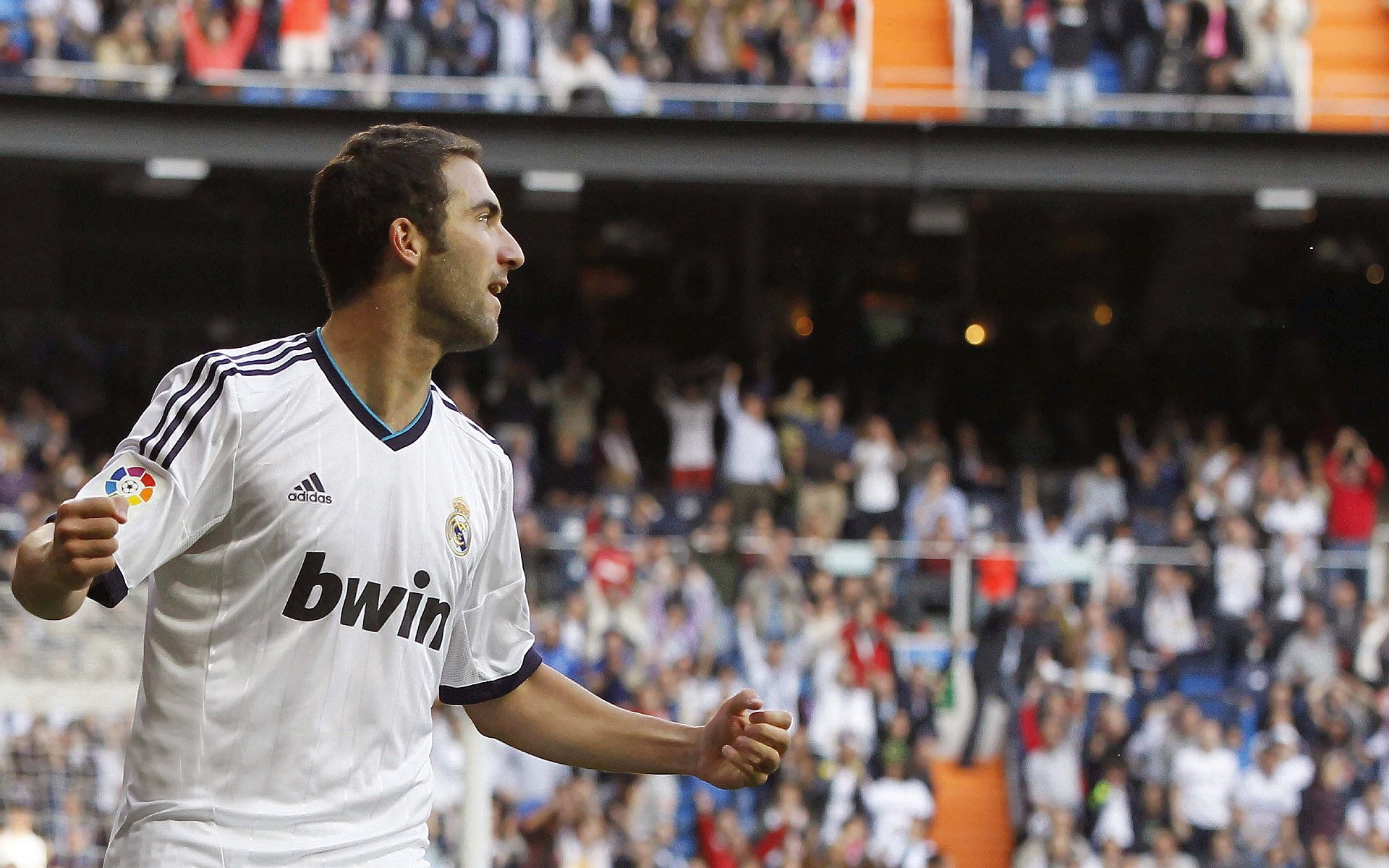 “南非羚羊队新锐之星：诺克·达维德·彼得森走向巅峰”