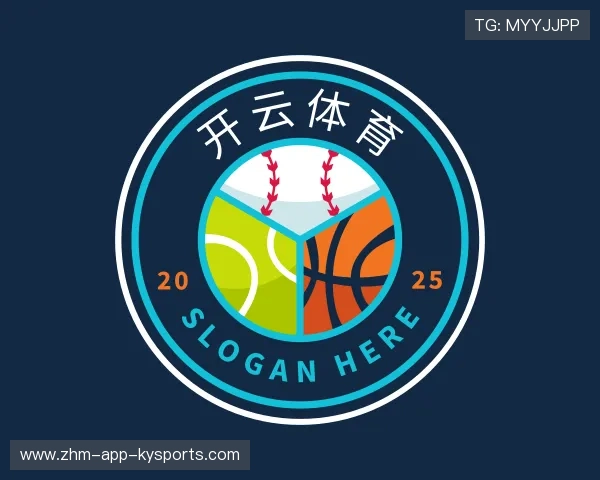 介绍开云体育下载